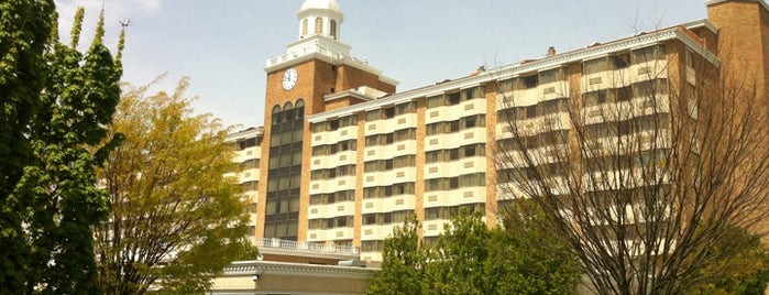 The Garden City Hotel is one of สถานที่ที่ Mario ถูกใจ.