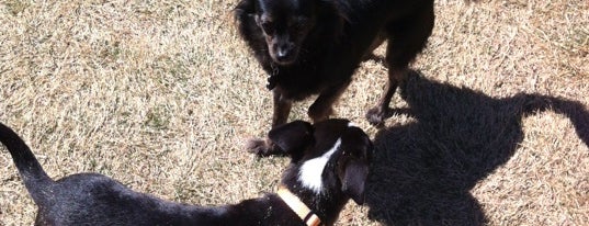 Wagging Tail Dog Park is one of DFW Parks.