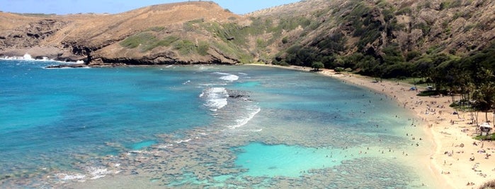 Hanauma Bay Nature Preserve is one of Favorite Oahu Beaches.