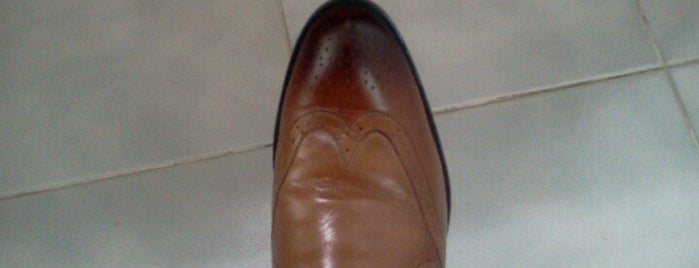 lark and finch formal shoes