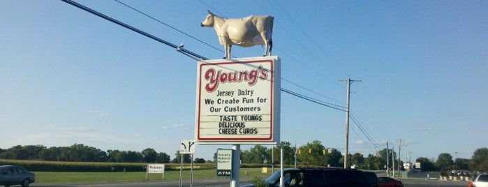 Young's Jersey Dairy is one of Yellow Springs.