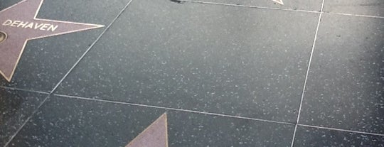 Hollywood Walk of Fame is one of Best People Watching Places in LA.