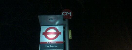 The Avenue Bus Stop CM is one of London Bus Stops.