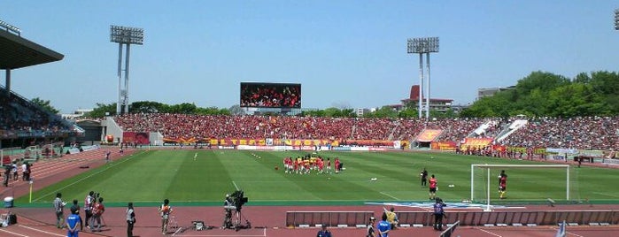 Paloma Mizuho Stadium is one of Jリーグスタジアム.