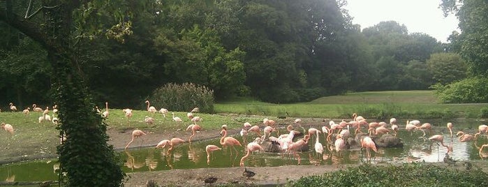 Tierpark Berlin is one of Germany.