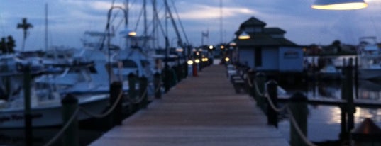 Naples City Dock is one of Discover Naples, Florida.