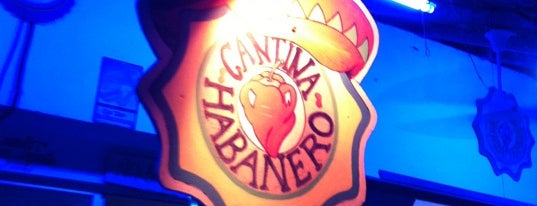 Cantina Habanero is one of rest puerto morelos.
