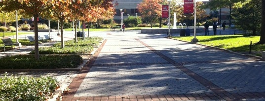 Stony Brook University is one of NCAA Division I FCS Football Schools.