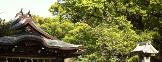 Umi Hachimangu Shrine is one of Only In Japan 　　　　　　　　　　　　日本の観光名所.