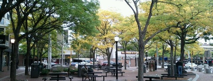 Davis Square is one of Somerville, MA Favorites.