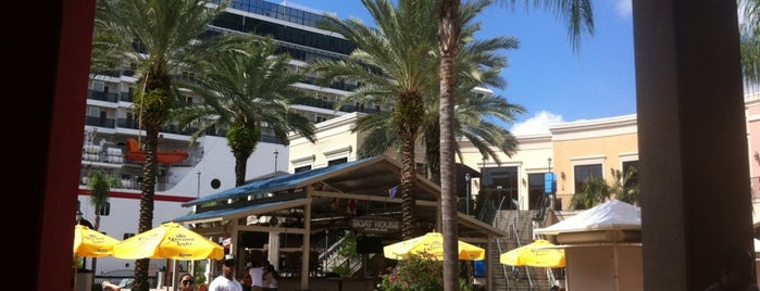 Channelside Bay Plaza is one of Olly Checks In Tampa.