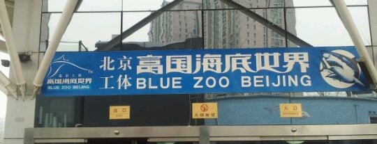 Blue Zoo Beijing is one of Best Places In Beijing.