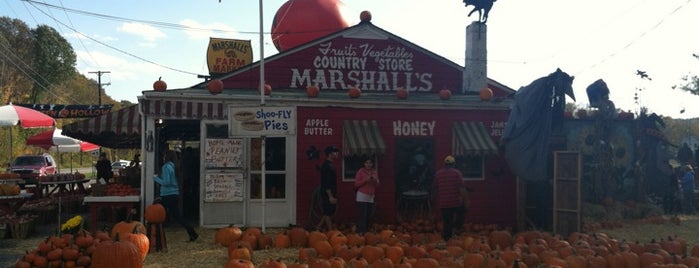 Marshalls' Farmers Market is one of Locais curtidos por Carolyn.