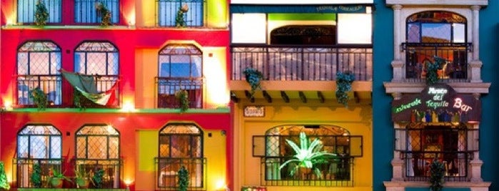 Museo del Tequila is one of สถานที่ที่ Carl ถูกใจ.