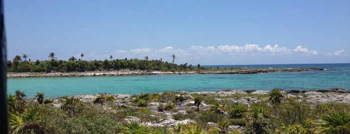 Akumal is one of Mexico to-dos!.