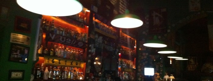 Wicklow Irish Pub is one of QRO.