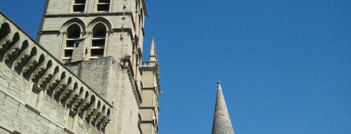 Faculté de Médecine is one of Montpellier.