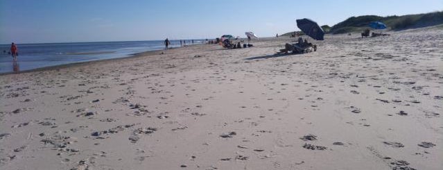 Playa Bello Horizonte is one of Posti che sono piaciuti a Yael.