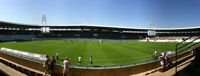 Estádio Doutor Adhemar Pereira de Barros (Arena da Fonte) is one of Football Stadiums (SP).