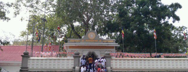 Sri Maha Bodhi is one of Trips / Sri Lanka.