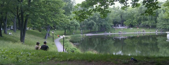 Parc La Fontaine is one of mes endroit que j'aime.