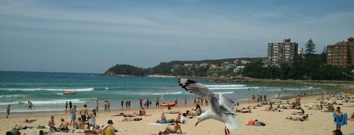 Manly Beach is one of Sydney, Australia.