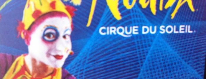 La Nouba by Cirque du Soleil is one of Orlando Places.