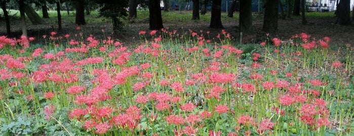 Musashino Park is one of 東京の公園50.