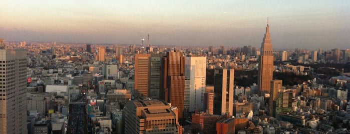 Park Hyatt Tokyo is one of tokyo.
