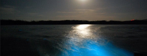 Luminous Lagoon is one of Places To Go.