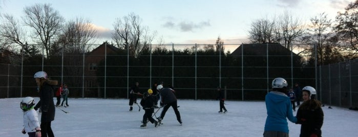 Lambton Kingsway Ice Rink is one of Toronto Hockey Rinks.