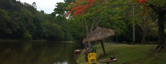 Planet Fish Pesca & Restaurante is one of Orte, die Vanessa gefallen.