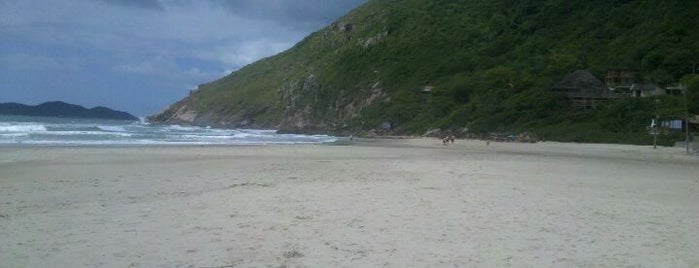 Praia da Solidão is one of Praias de Florianópolis.