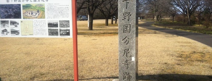 The Remains of Shimotsuke-Kokubunji Temple is one of 全国 国分寺総覧.