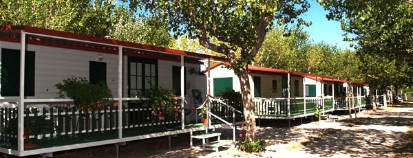 International Riccione Camping Village (ex Alberello) is one of Camping.