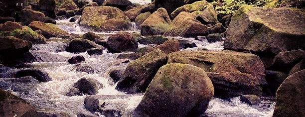 Padley Gorge is one of Explore nature.
