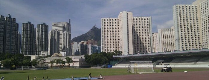 Tuen Mun Tang Shiu Kin Sports Ground is one of Hong Kong Football Stadium List.