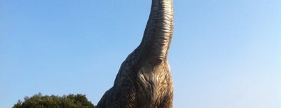 Jeju Dinosaur Theme Park is one of ⓦ제주여행.