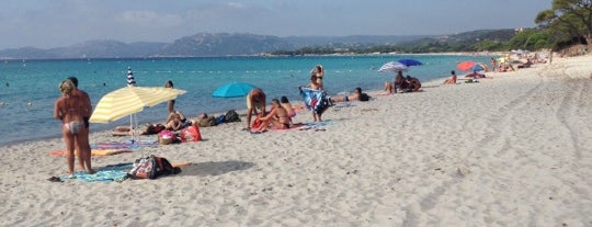 Plage de Palombaggia is one of Thomasさんのお気に入りスポット.