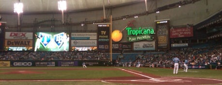 Tropicana Field is one of Guide to Saint Petersburg's best spots.