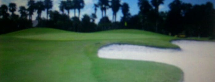 Palma Ceia Country Club is one of Best of South Tampa Outdoors.