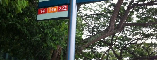 Bus Stop 84239 (opp Blk 85) is one of Andi.