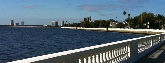 Bayshore Boulevard is one of Tampa Bay Attractions.