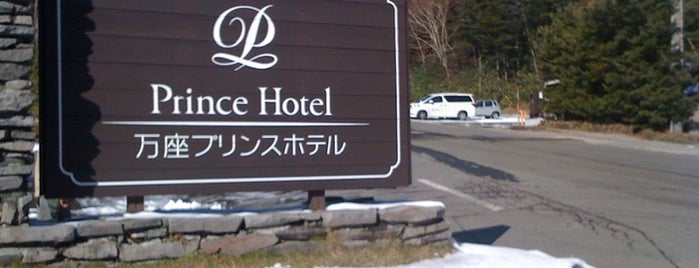 Manza Prince Hotel is one of 宿泊履歴.