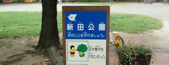 新田公園 is one of 近隣遊び場.