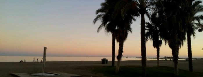 Paseo Marítimo Antonio Banderas is one of 101 cosas que ver en Málaga antes de morir.