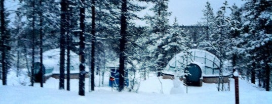 Kakslauttanen Arctic Resort is one of Locais curtidos por Dharti.