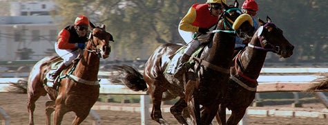 Hipódromo de La Plata is one of Buenos Aires (AR).