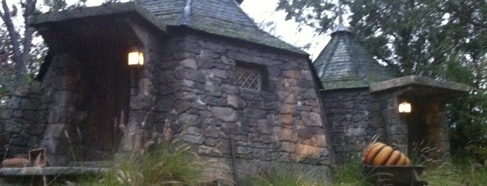 Hagrid's Hut is one of Disney World/Islands of Adventure.