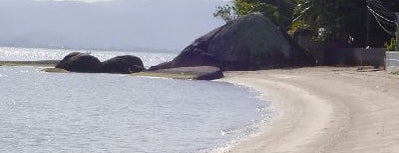 Praia do Cacupé Grande is one of Floripa Golden Isle.